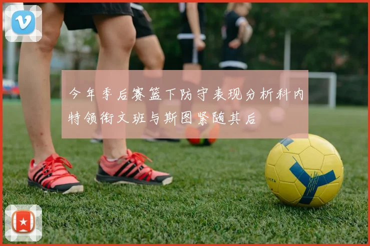 今年季后赛篮下防守表现分析科内特领衔文班与斯图紧随其后