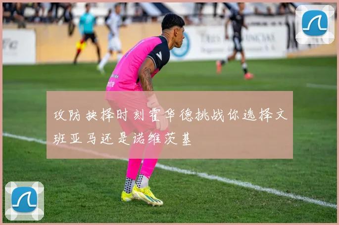 攻防抉择时刻霍华德挑战你选择文班亚马还是诺维茨基